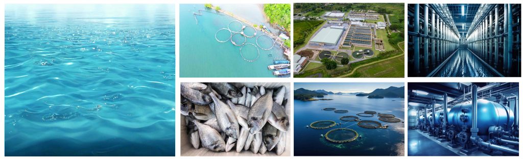 We are very happy that with a lot of experience, we can be by your side in equipping water treatment plants and fish farming centers