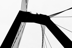 Willemsbrug-grafisch