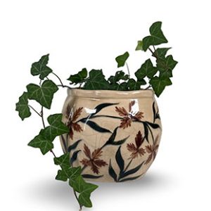 Blomkruka - EDIE