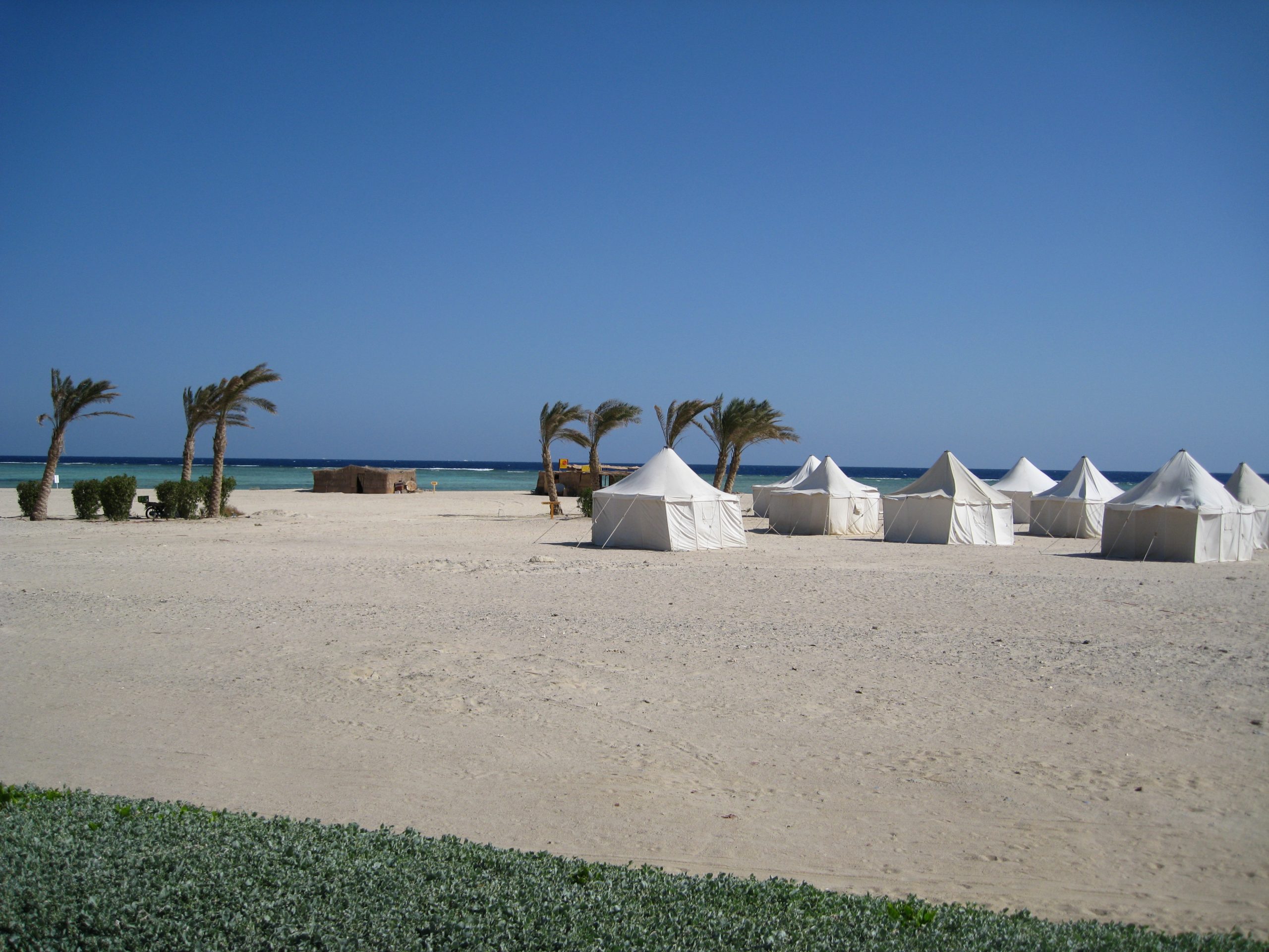 2007_11_marsa_alam_009