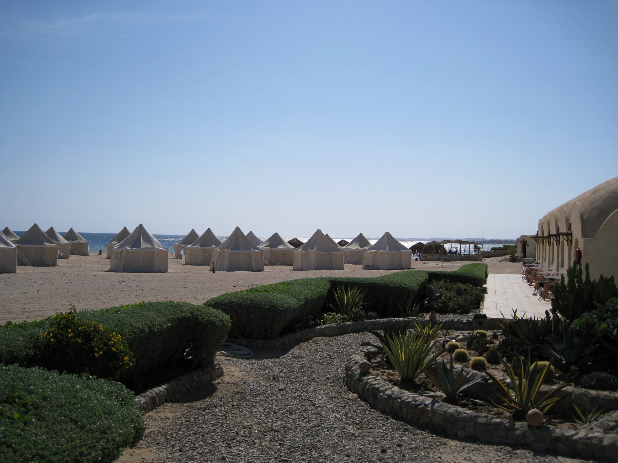 2007_11_marsa_alam_010