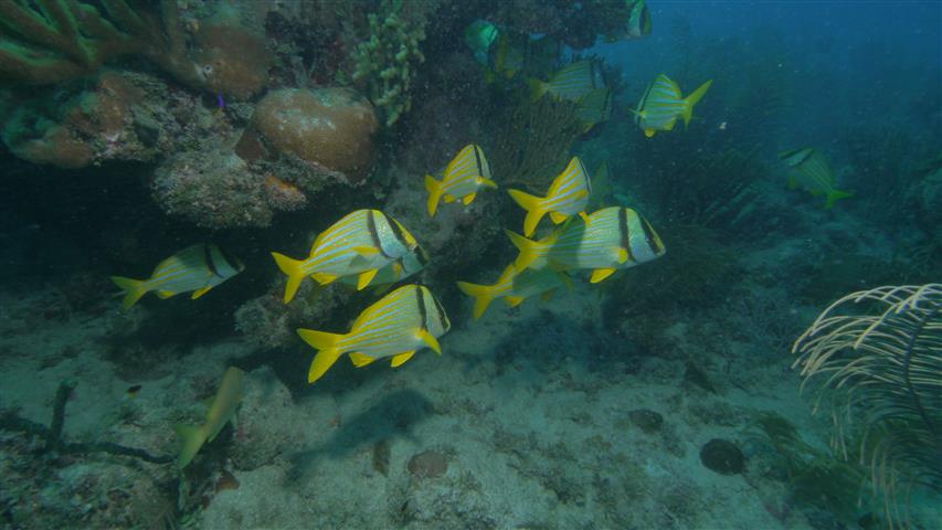 images_dagbog_cuba_2016_152