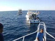 images_dagbog_marsaalam_2009_18