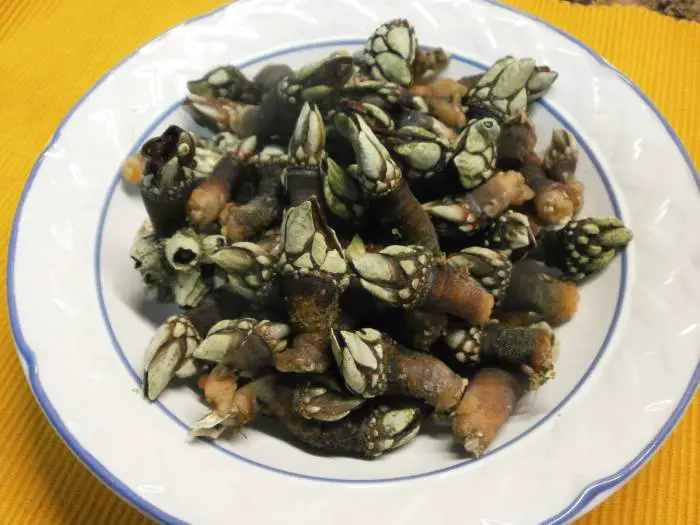 Barnacles are a typical dish of the island consumed during carnivals