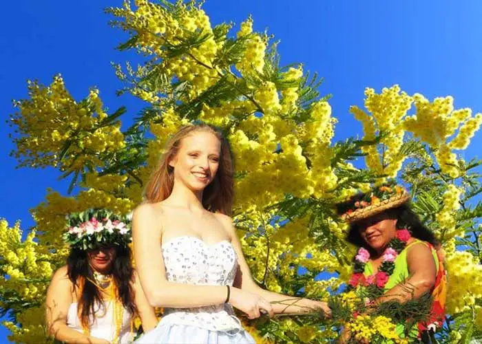 The Mimosa Festival is an event that takes place near Menton