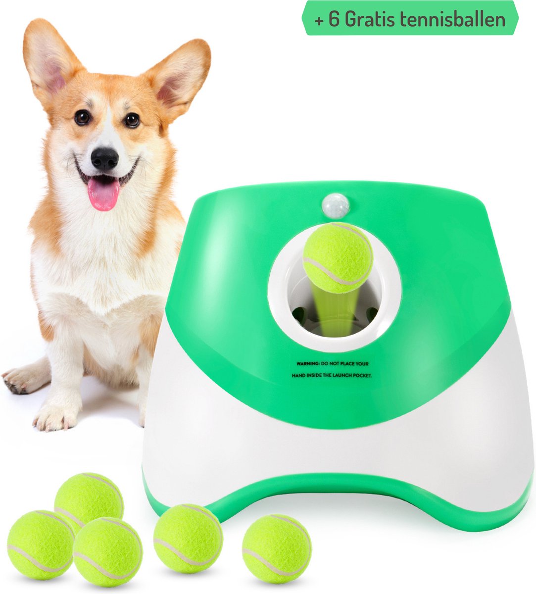 Goedkope ballenwerper honden