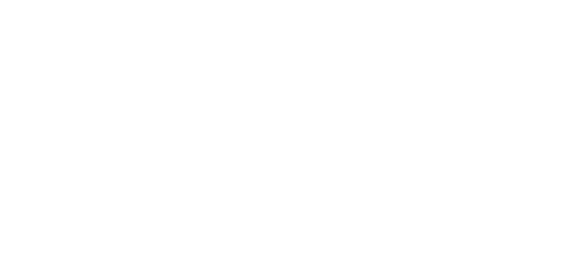 Basseng hvit logo