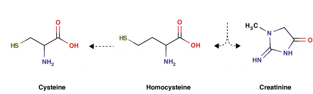 HCC