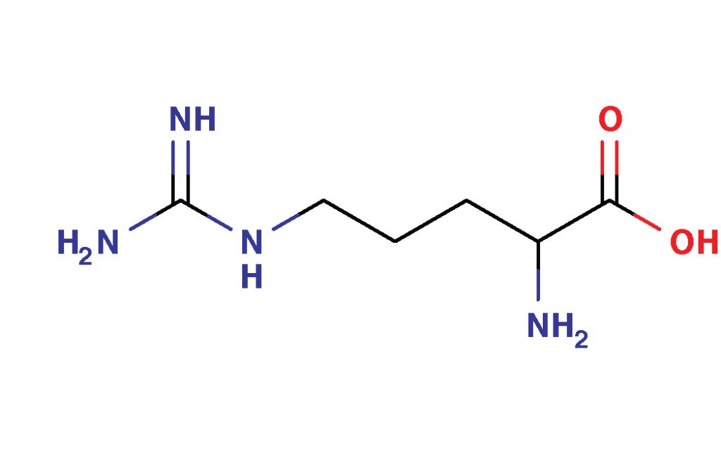 Arginine 13 arg