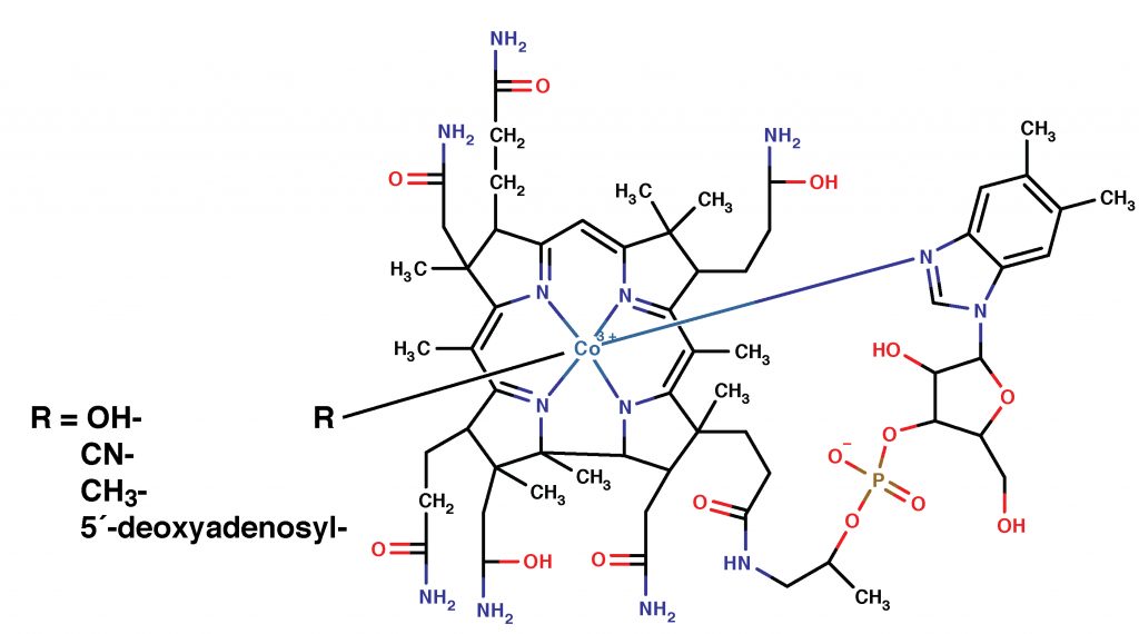 Cobalamin - BEVITAL AS