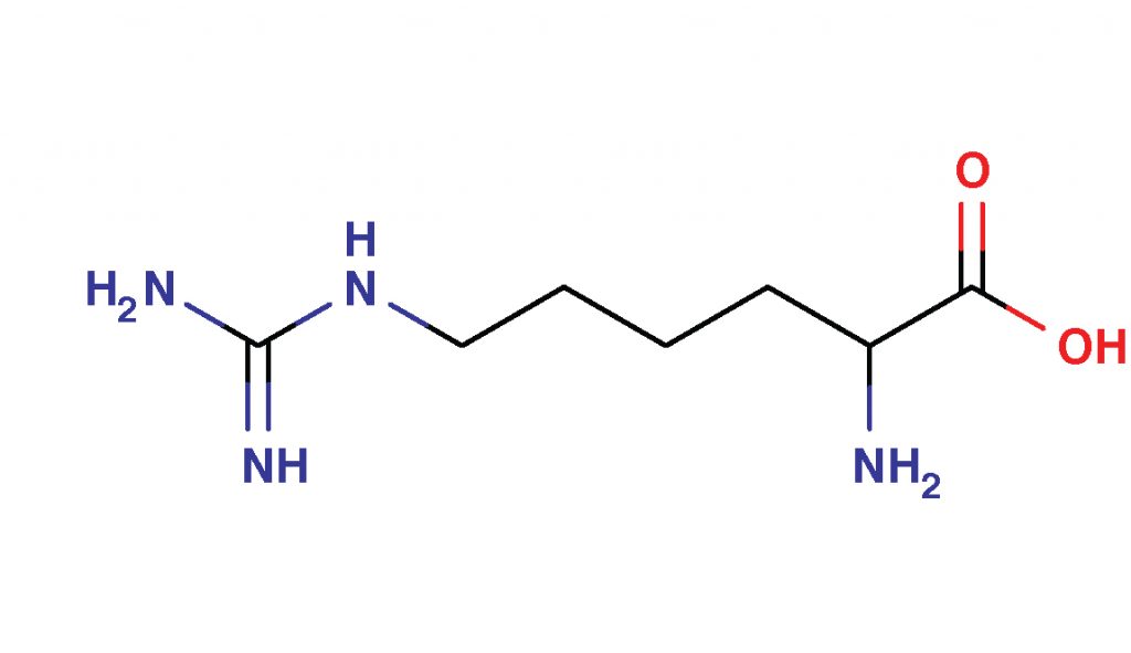 Homoarginine 7 hArg