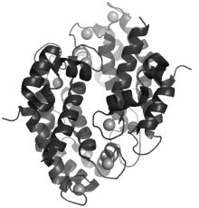 Calprotectin-4GGF