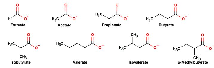 SCFAs
