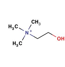 choline