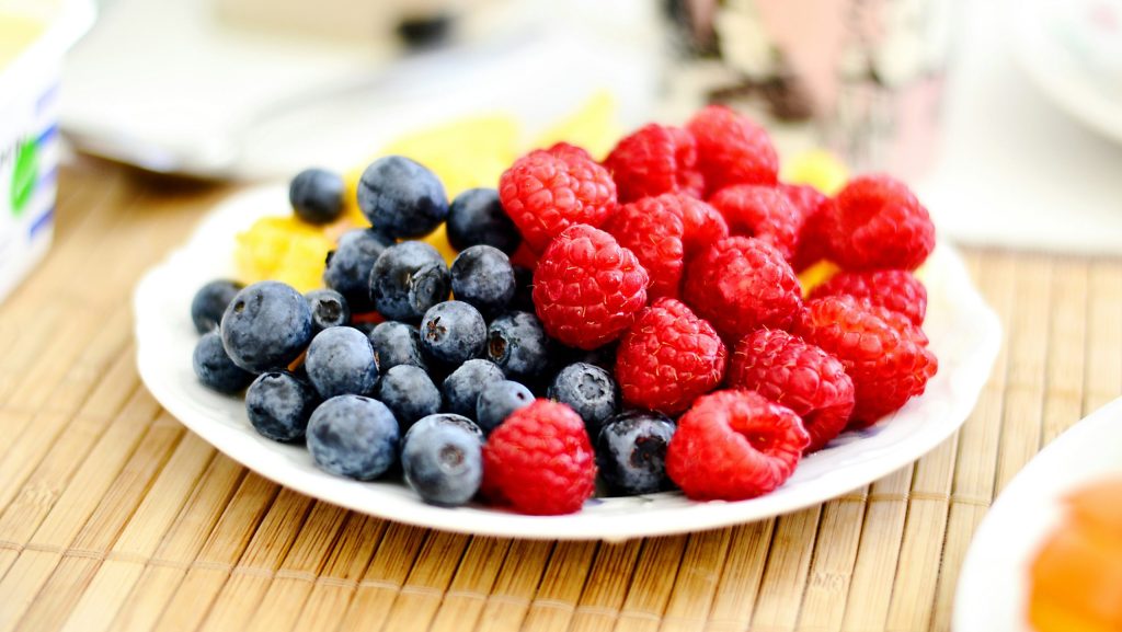 Exploring Top Plant-Based Protein Sources