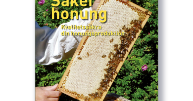 Distans cirkel ”Säker honung” via Zoom
