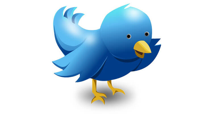 twitter vogel