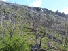 p1010531_860x645 p1010531_860x645