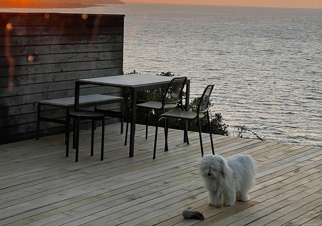 BIOBYG Terrassebrædder Byggeri Lufttørret Egetræ