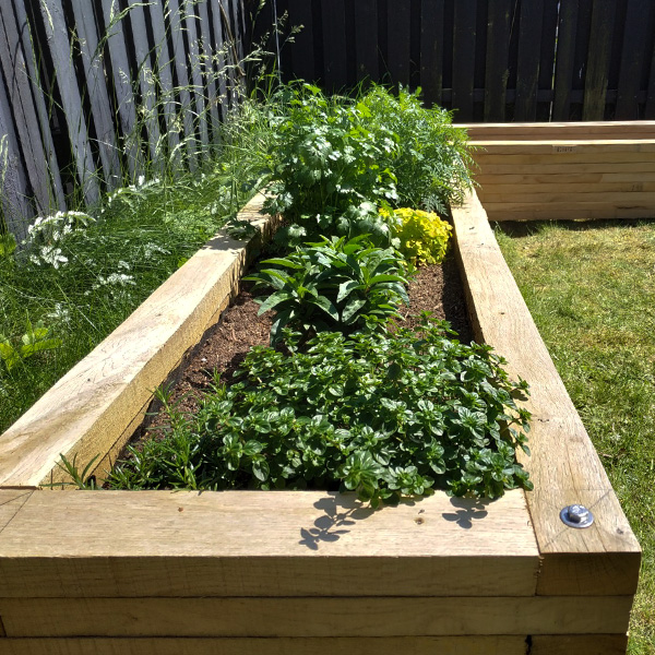 l formet herregårds højbed byggesæt i naturtørret egetræ fyldt i hjørne af have