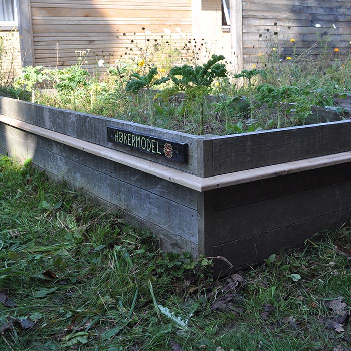 sneglehegn udvalgt billede 06 - 02102024 - 700x700