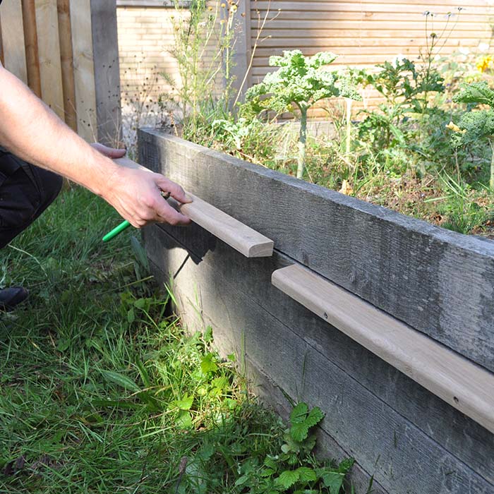 sneglehegn udvalgt billede 07 - 02102024 - 700x700