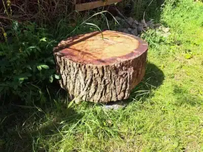 Naturbænke