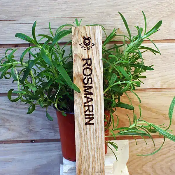 BIOBYG Planteskilt Rosmarin