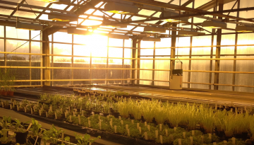 Bioscience and Crop Protection Strategic Research Management & Product Development