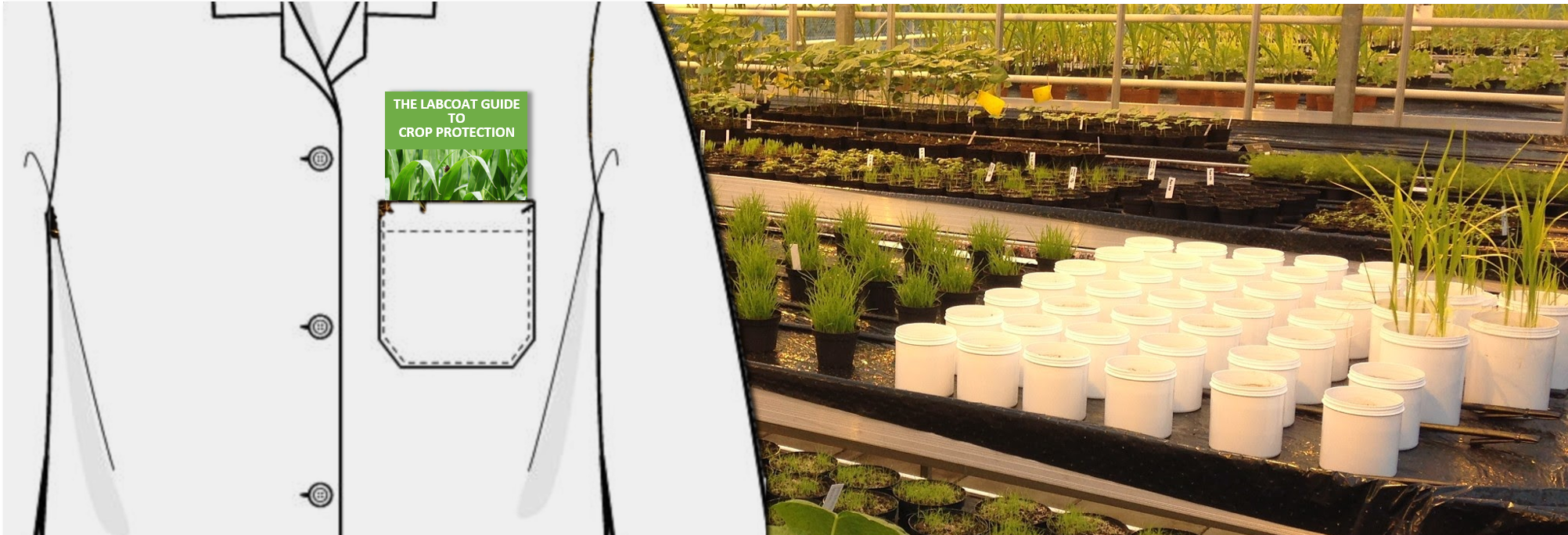 Greenhouse Banner