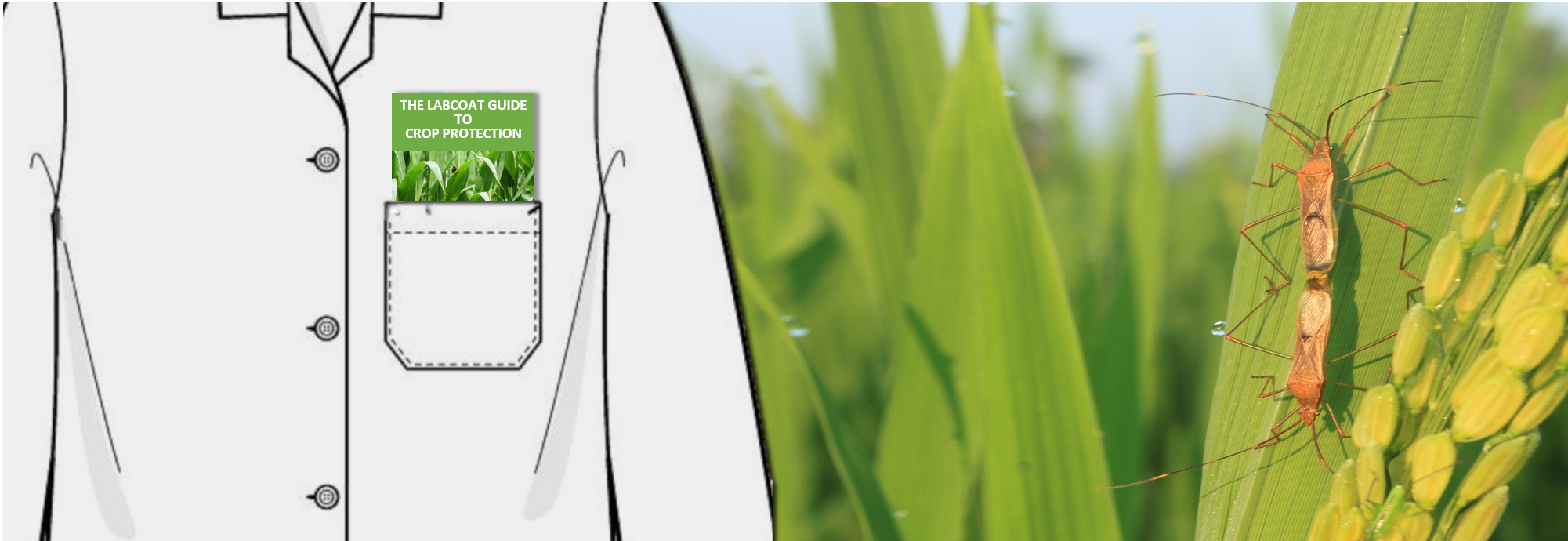 INS banner