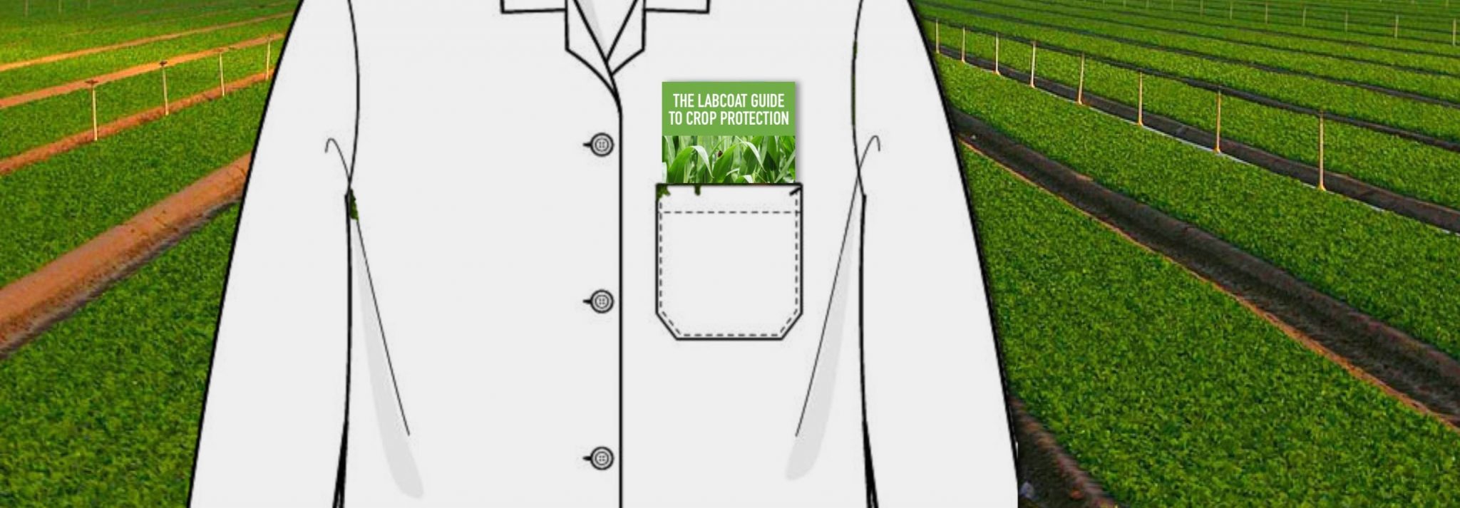Labcoat guide