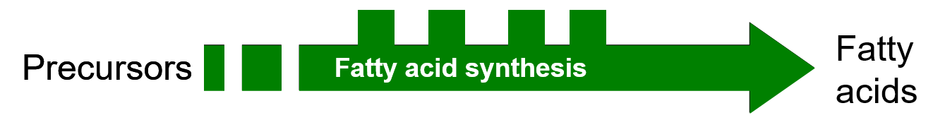 H2