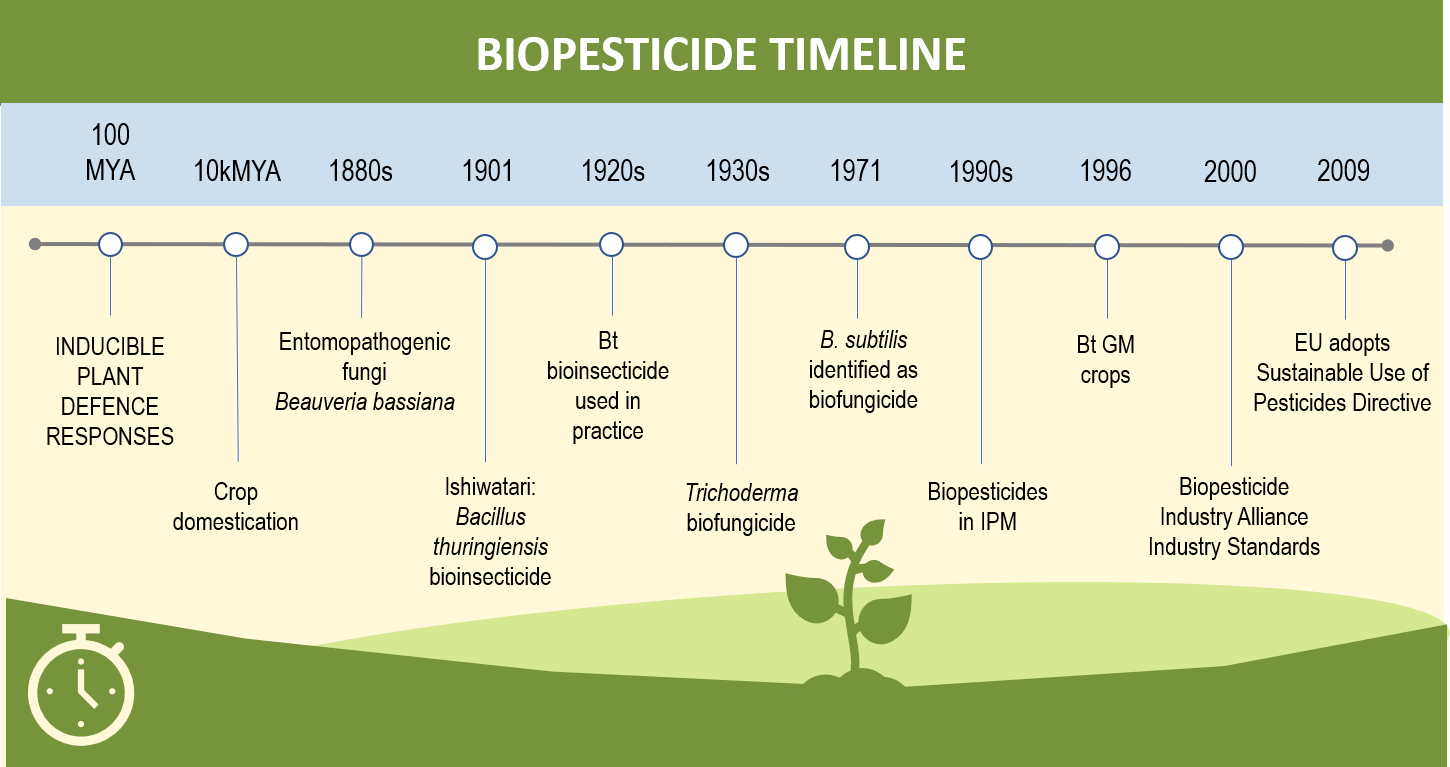 timeline