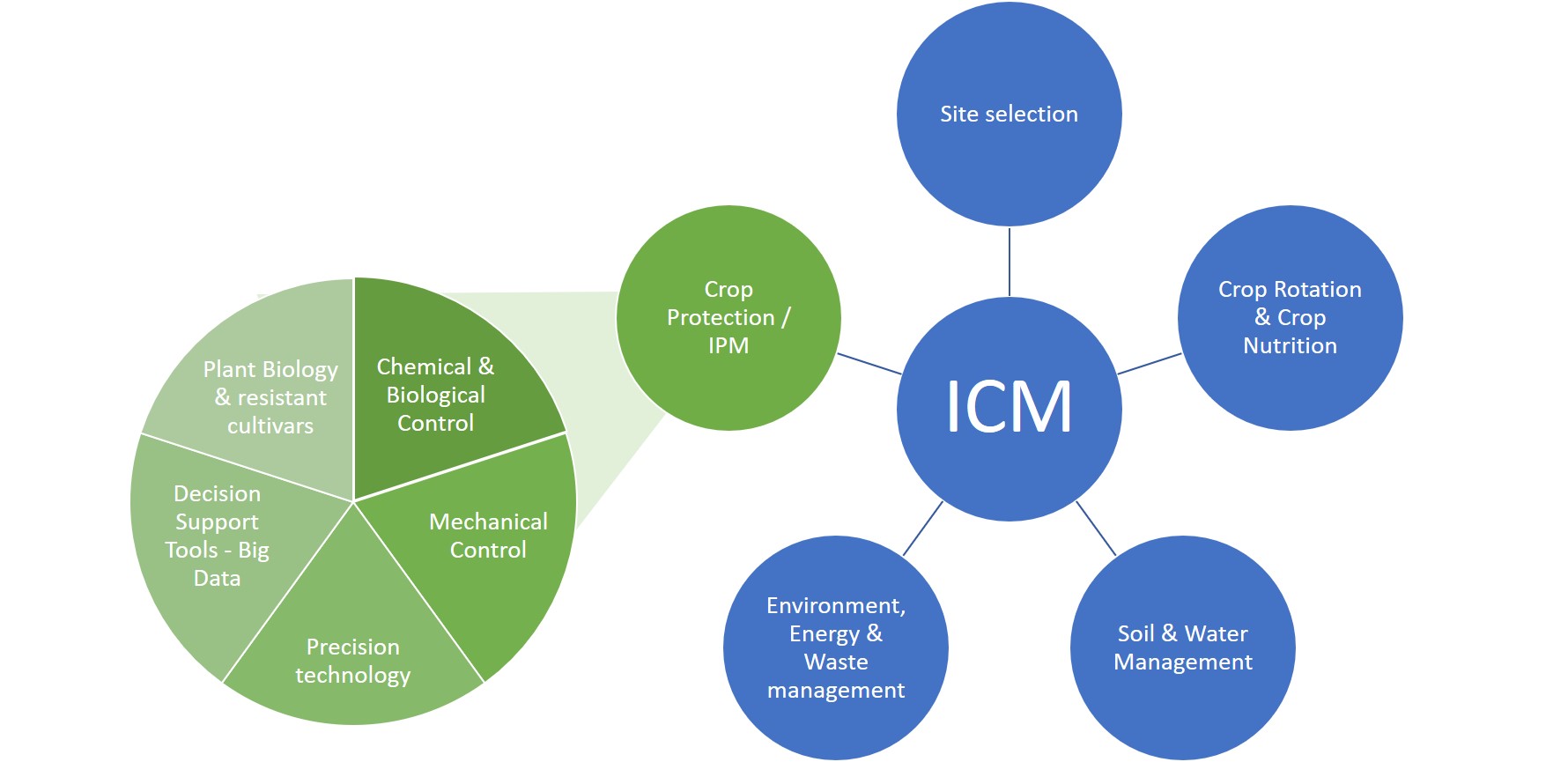 ICM