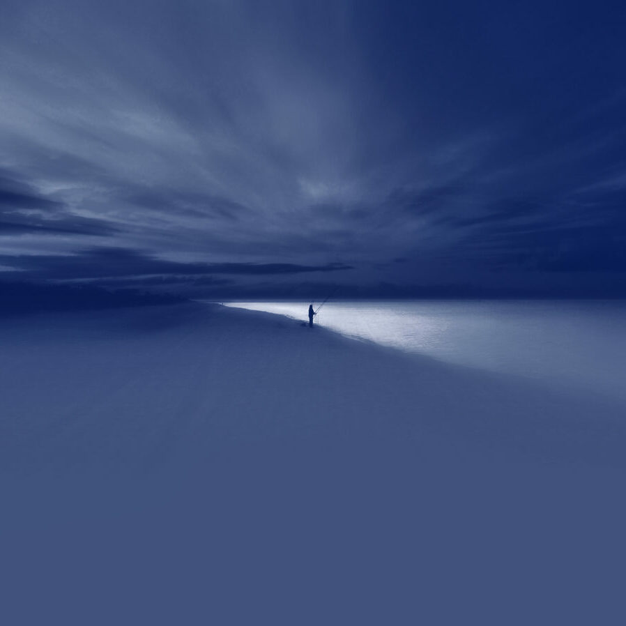 Fisher as Cyanotype 2011