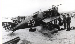 DFW-Jagdeisitzer-1917