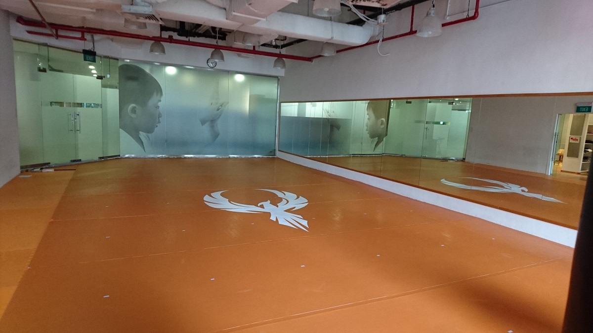 bjj singapore