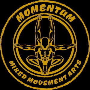 Momentum - Mixed Movement Arts bjj koh phagnan