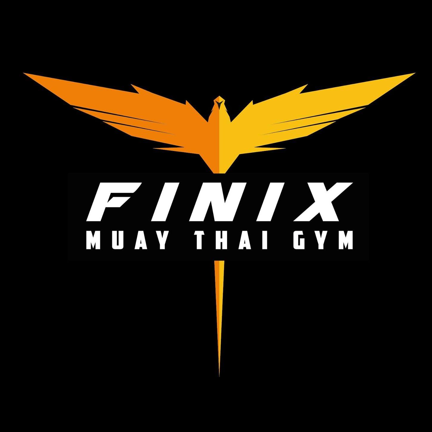 Finix Muay Thai Gym