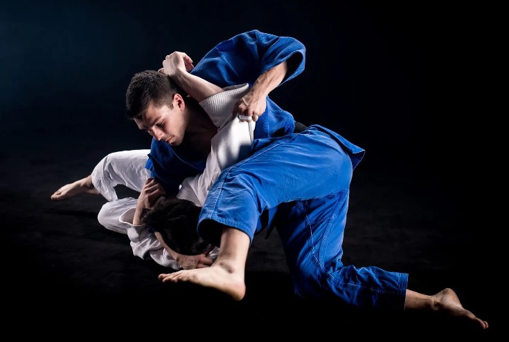 The surprising physics behind Brazilian Jiu-Jitsu