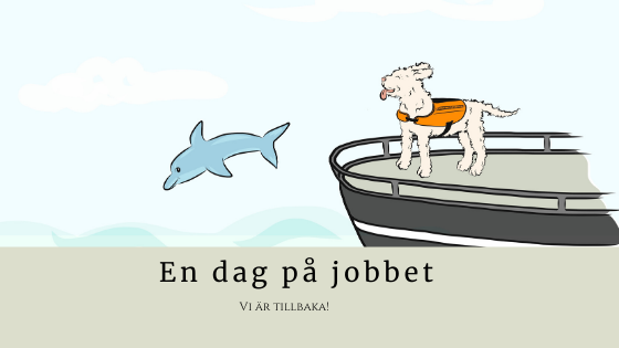 En dag på jobbet…..