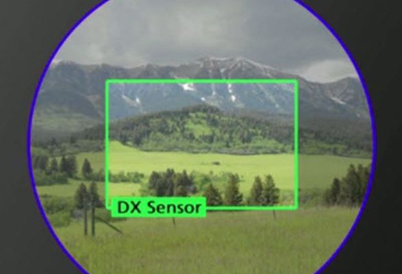 DX-sensor