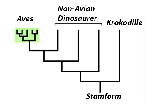 slægtskab