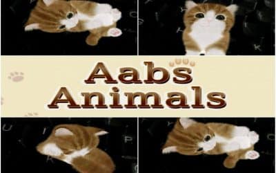 Pet'a Pussy -A Trophy App?- - Aabs Animals PSVITA Pet'a Pussy -A Trophy App?- - Aabs Animals PSVITA