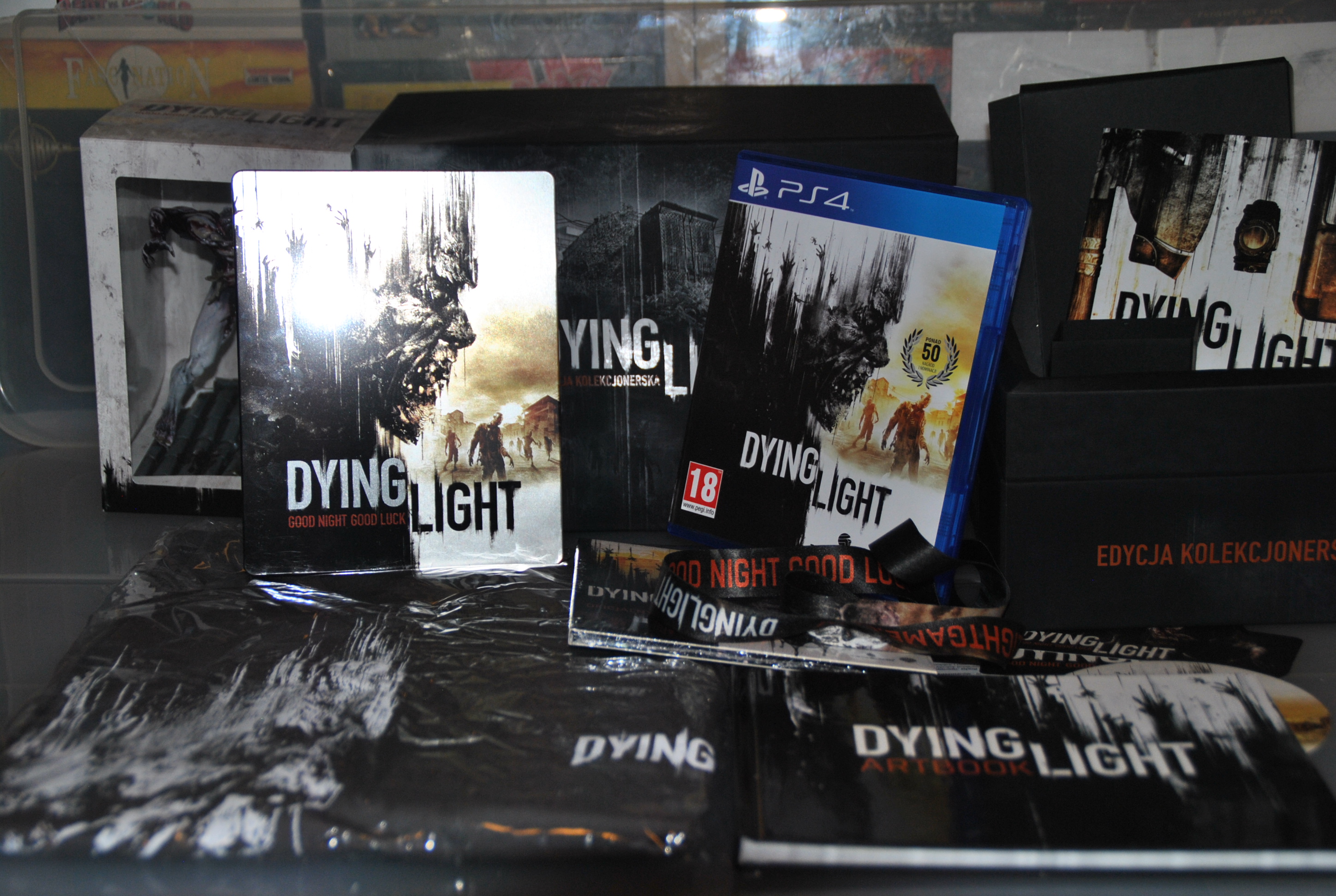 Dying Light PS4 PAL Replacement Box Art Insert Inlay Cover Only