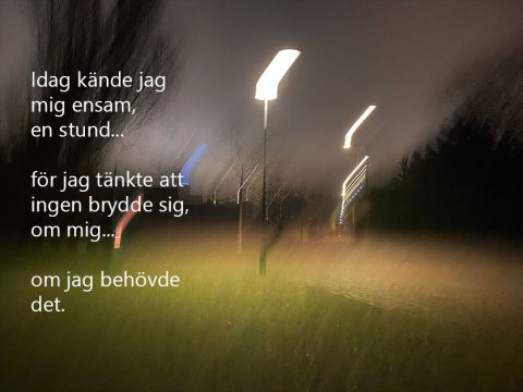 Själv, inte ensam