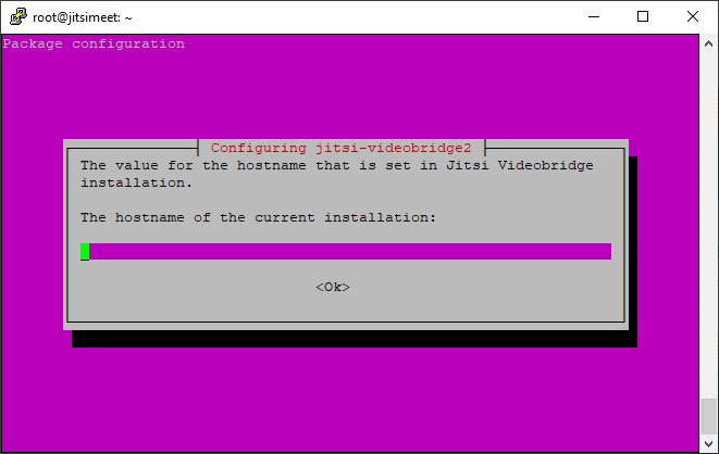 Jitsi Videobridge installation prompts for the hostname.