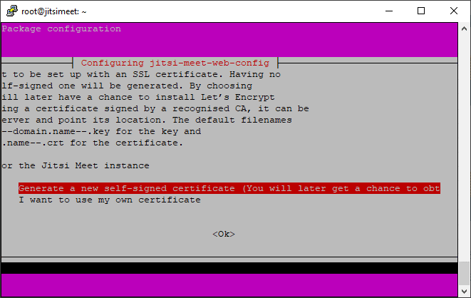 Jitsi Meet installation prompts to either Generate a new self signed certificate (default) or to use a pre-existing certificate.