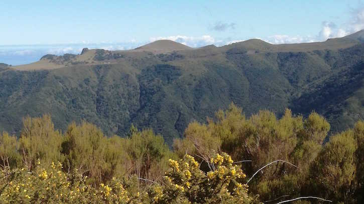 Madeira